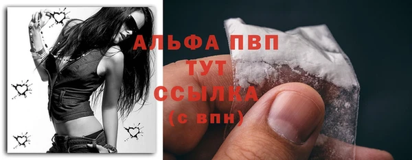винт Богданович