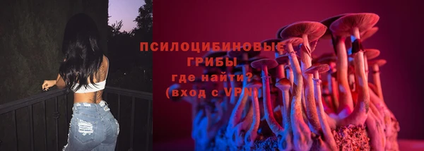 бошки Богородск