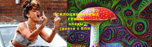 метадон Богородицк
