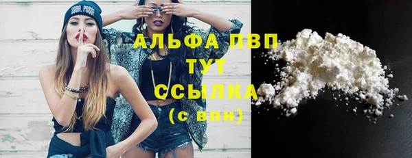 винт Богданович